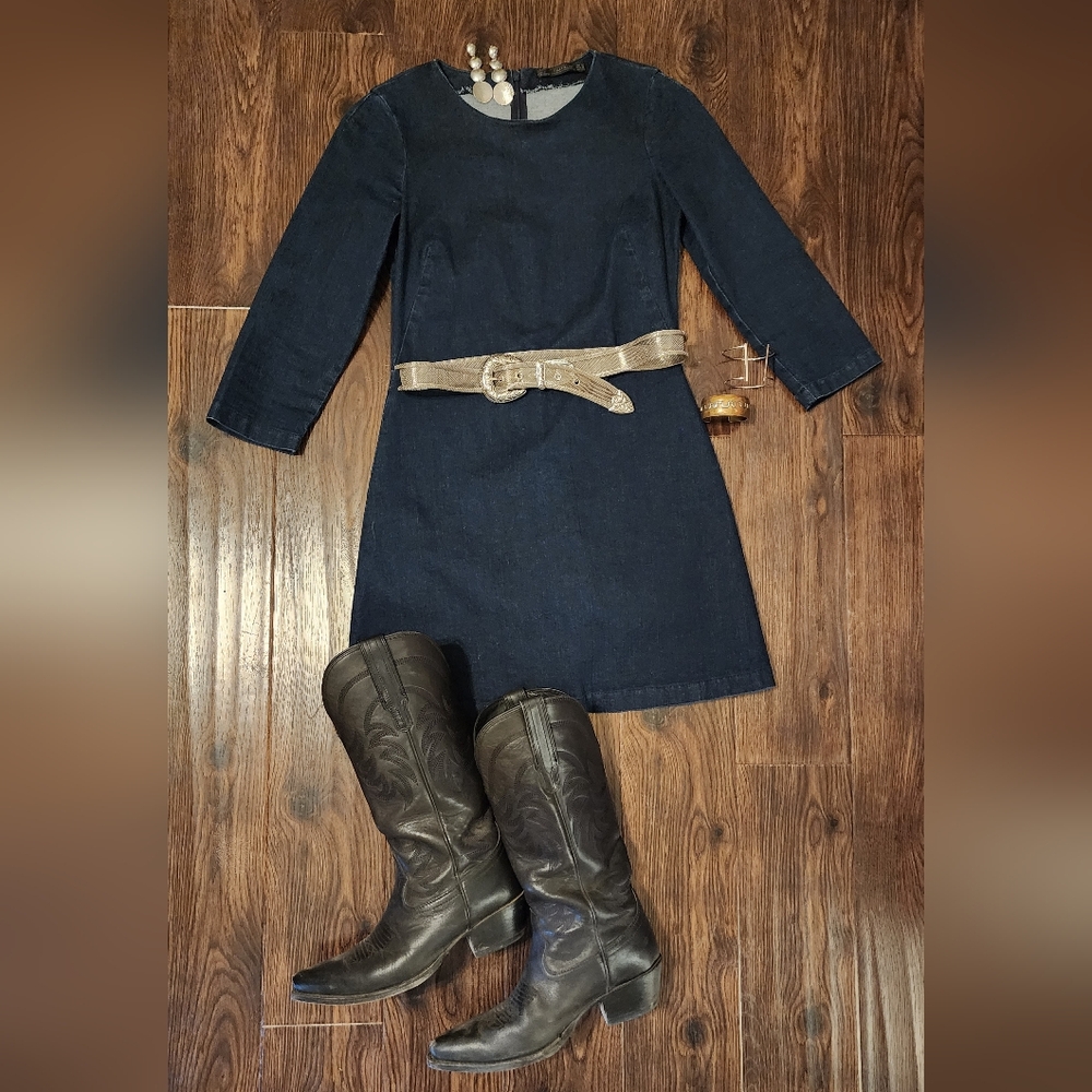 ZARA Denim Long Sleeve Mini Dress